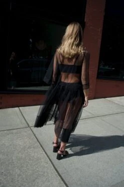 Ali GoldenSide Ruffle Mesh Dress - Black -AGOLDE Store Ali Golden Side Ruffle Mesh Dress 20230925020531 1