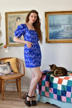 Birds Of North AmericaChickadee Dress - Cat Dreams