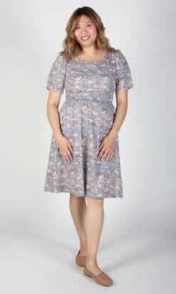Birds Of North AmericaWinter Chippy Dress - Blue -AGOLDE Store Birds of North America Winter Chippy Dress Blue 20230922043049