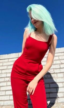 Birds Of North AmericaCrossbill Jumpsuit - Cherry 19 Birds Of North AmericaCrossbill Jumpsuit - Cherry -AGOLDE Store Crossbill Jumpsuit Cherry 20230713002021 1