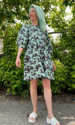 Birds Of North AmericaDevil Downhead Dress - Loons -AGOLDE Store Devil Downhead Dress Loons 20230713002304 1