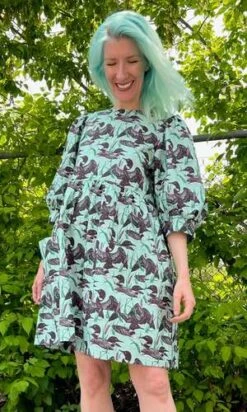 Birds Of North AmericaDevil Downhead Dress - Loons -AGOLDE Store Devil Downhead Dress Loons 20230713002304 2