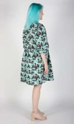 Birds Of North AmericaDevil Downhead Dress - Loons -AGOLDE Store Devil Downhead Dress Loons 20230713002306