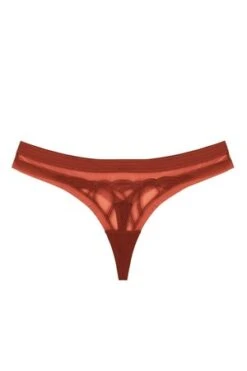 The UnderargumentMade In Kindness Thong