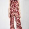 Birds Of North AmericaNeedletail Jumpsuit - Burgundy Flower Burst -AGOLDE Store Needletail Jumpsuit Burgundy Flower Burst 20230713004156