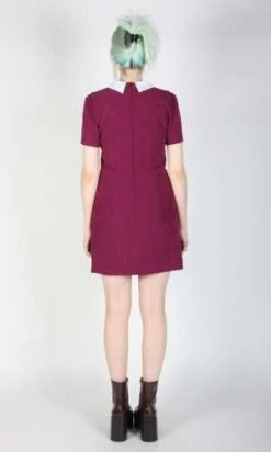 Birds Of North AmericaPeep Dress - Mulberry -AGOLDE Store Peep Dress Mulberry 20230713004636