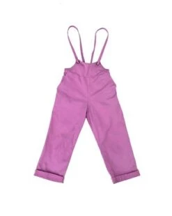 PunkwaspHeadliner Overalls - Lilac 8 PunkwaspHeadliner Overalls - Lilac -AGOLDE Store Punkwasp Headliner Overalls Lilac 20230801220736 1