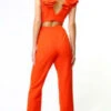Adelyn RaeRuffle Jumpsuit -AGOLDE Store Ruffle Jumpsuit 20231004214815