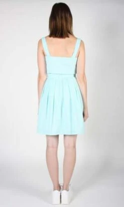 Birds Of North AmericaStarique Skirt - Mint Seersucker -AGOLDE Store Starique Skirt Mint Seersucker 20230713010920 2