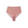 Simone WildTulle Panty - Dusty Rose -AGOLDE Store Tulle Panty 20220405172853
